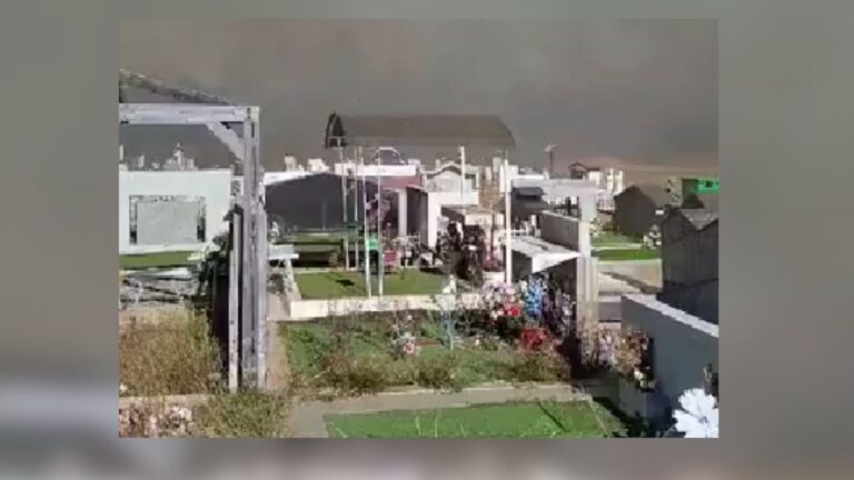 Región de La Araucanía: Pitrufquén sigue en Alerta Roja por incendio forestal