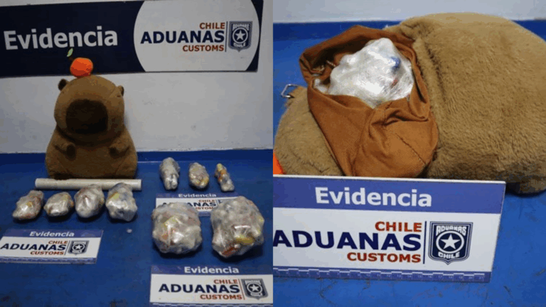 Los tenía ocultos en un peluche de capibara: Mujer intentó entrar a Chile con 185 ovoides de pasta base