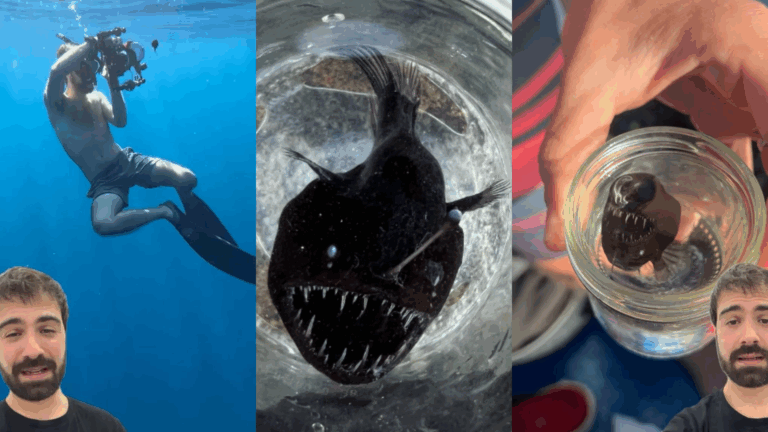 Revelan imágenes inéditas de la diabla negra: Creador del video dice que 