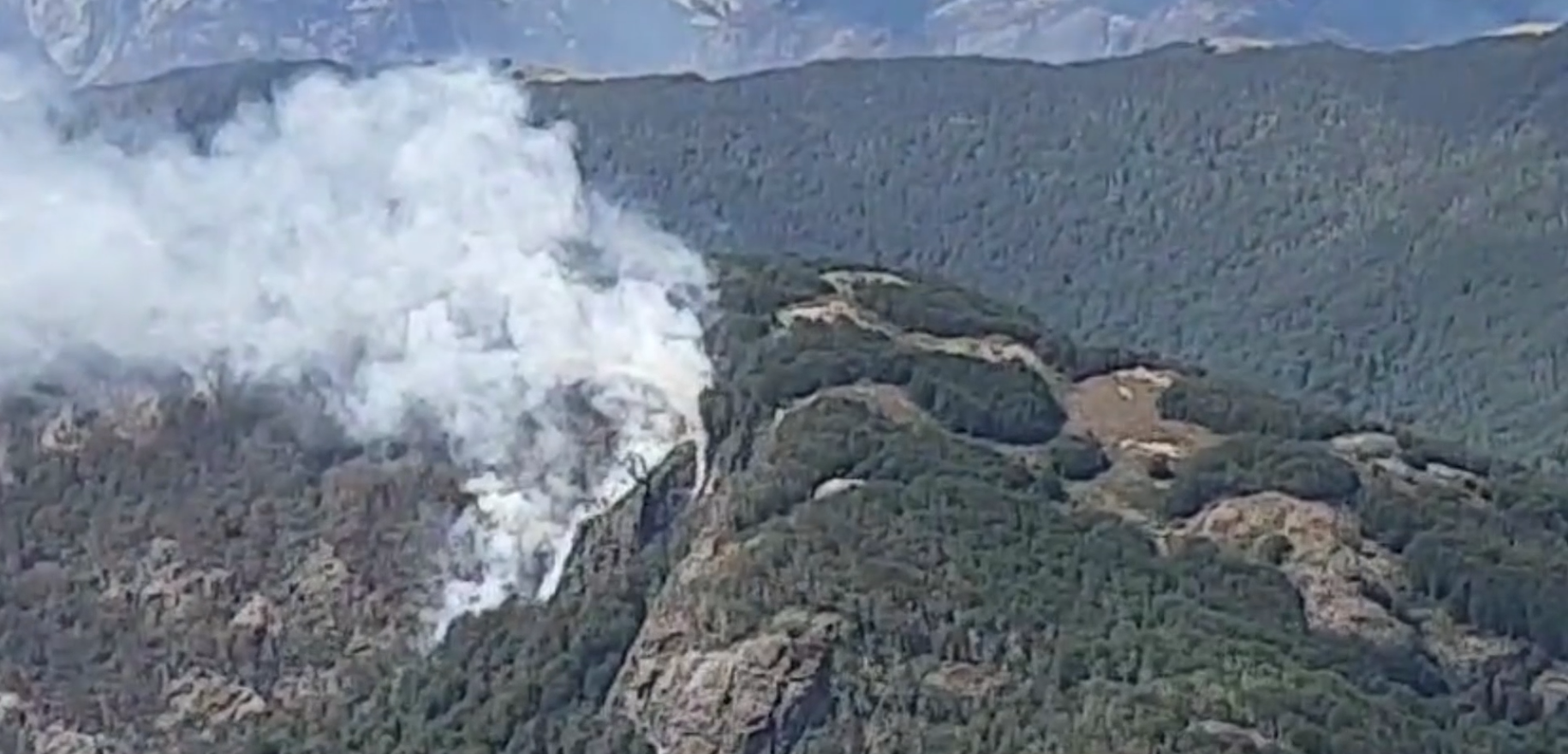 Incendio forestal en Argentina está en el límite con territorio chileno: Conaf dispuso recursos aéreos para su combate. Captura Conaf