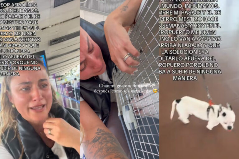 Influencer denuncia a SKY por prohibirle viajar con su perro pese a pagar pasaje: “Su solución es que lo abandone”