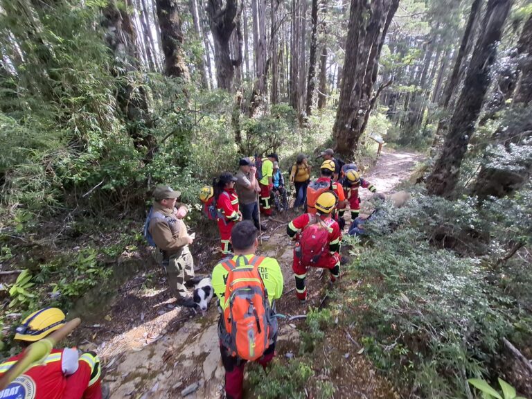 Rescate en Alerce Costero: Encuentran con vida a tres adultos mayores y su guía que llevaban perdidos más de 24 horas