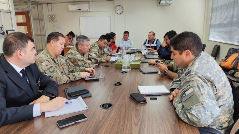 Toque de queda en Chile por incendio forestales: ¿En qué zonas se aplicará?