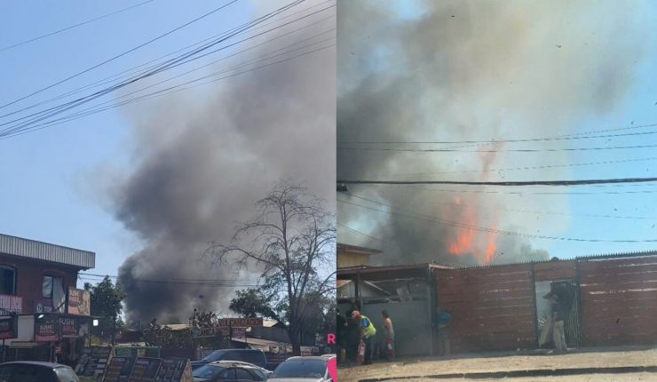 Senapred ordena la evacuación de 7 sectores de Perquenco en La Araucanía por incendio forestal que amenaza la zona