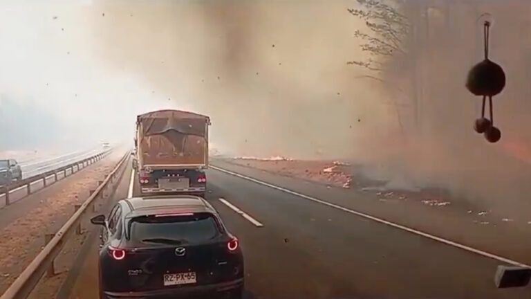 Incendio forestal obliga suspensión de tránsito en Ruta 5 Sur a la altura de Collipulli