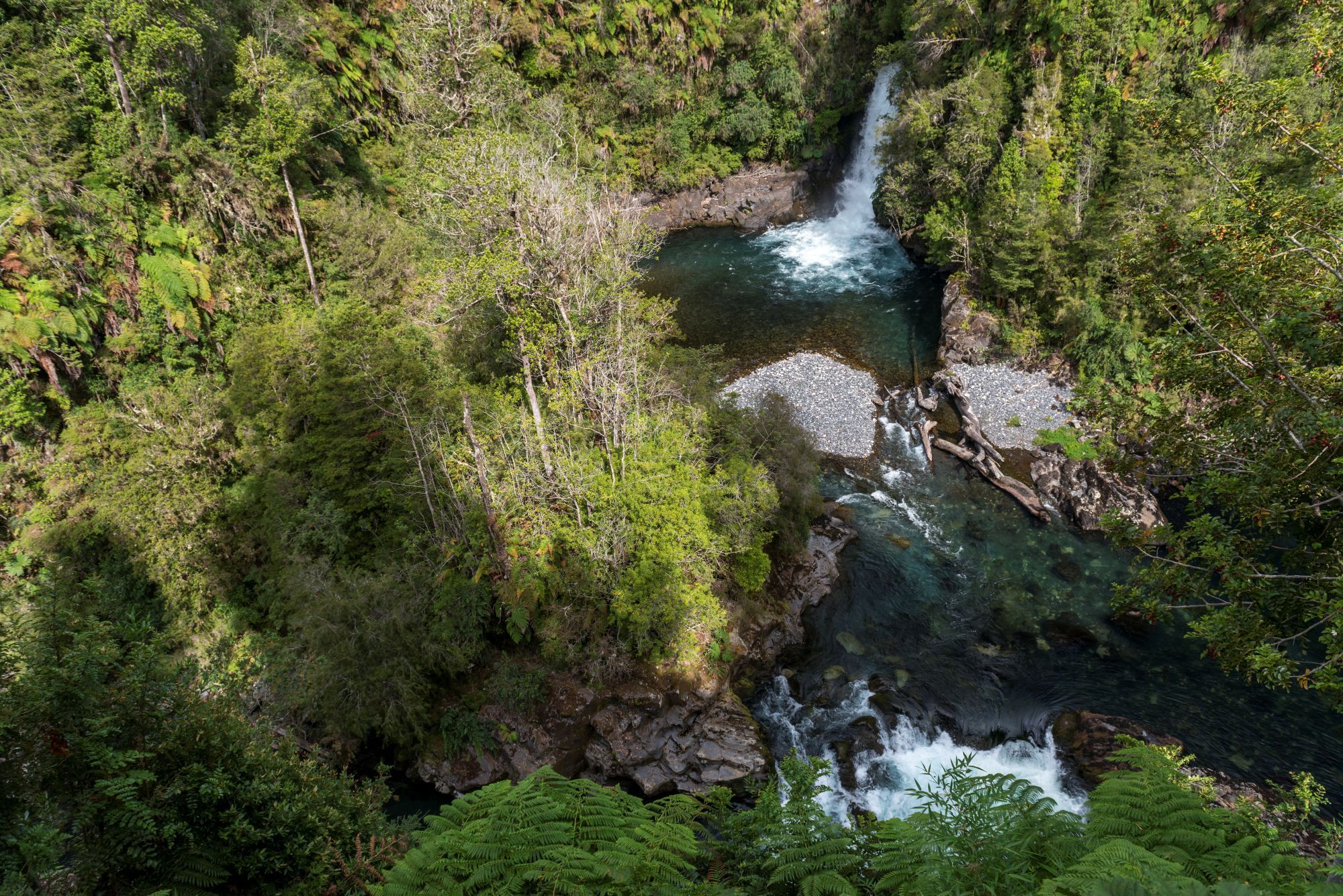 Ocupación hotelera llegó a 70% en febrero: Valdivia y Cuenca del Lago Ranco entre los destinos más visitados. Sernatur