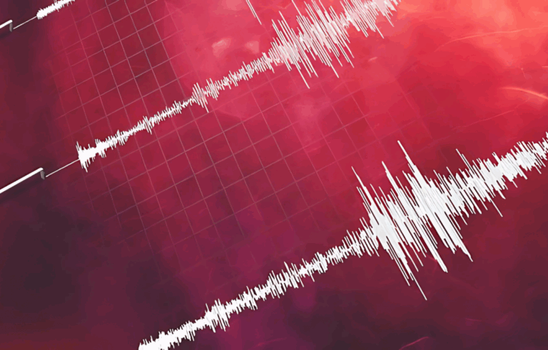 Fuerte temblor en la Región de Tarapacá: Sismo tuvo una profundidad de 114 kilómetros