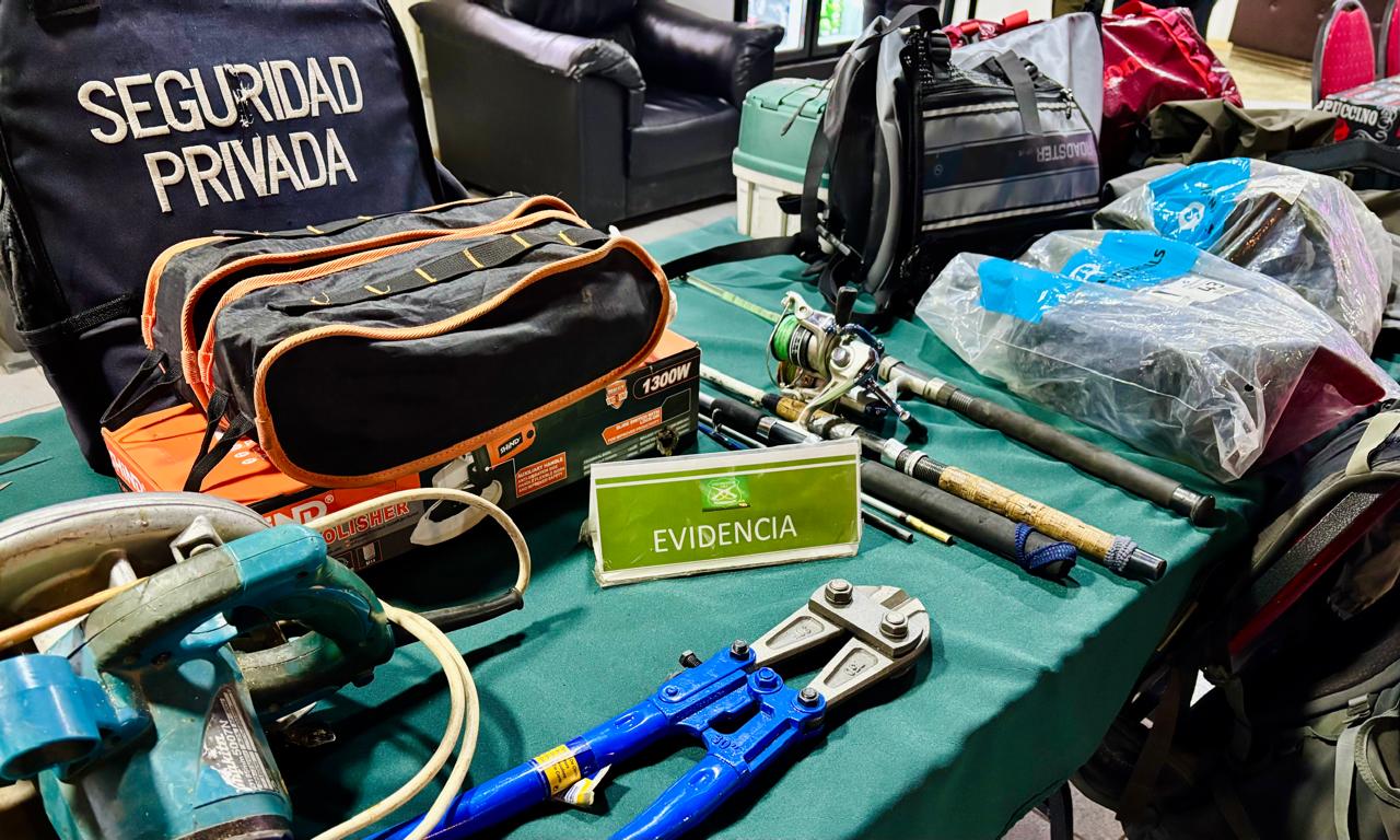 Algunas de las especies recuperadas por la policía. Foto: Carabineros