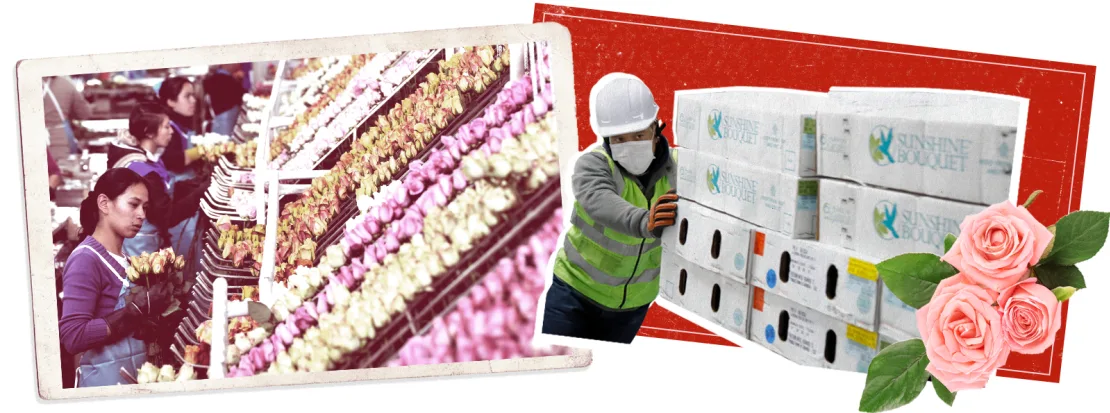 Ilustración de Leah Abucayan/CNN/Getty