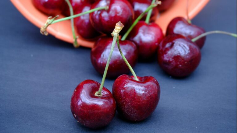 Cerezas en China: Revisión de primeros contenedores arrojó que no están disponibles para comercialización