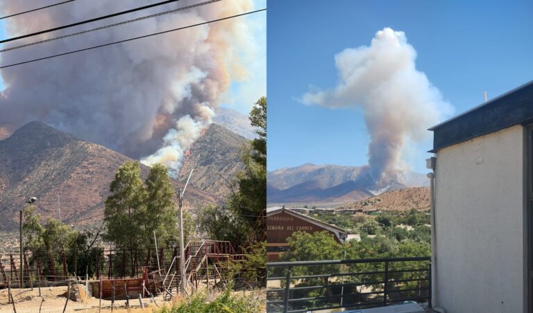 Incendio forestal en Tiltil arrasa con 150 hectáreas: No hay viviendas en riesgo