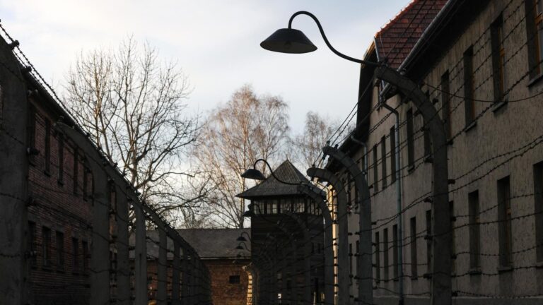 Estudiante israelí fue detenido y multado en Auschwitz tras realizar saludo nazi