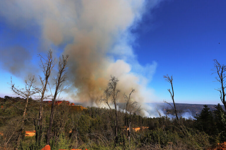 Declaran Alerta Roja en La Estrella: Incendio forestal amenaza la comuna y presencia de humo genera preocupación