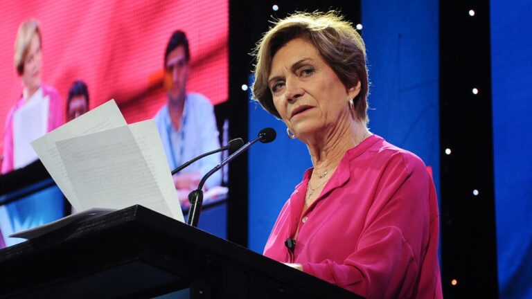 Matthei plantea 