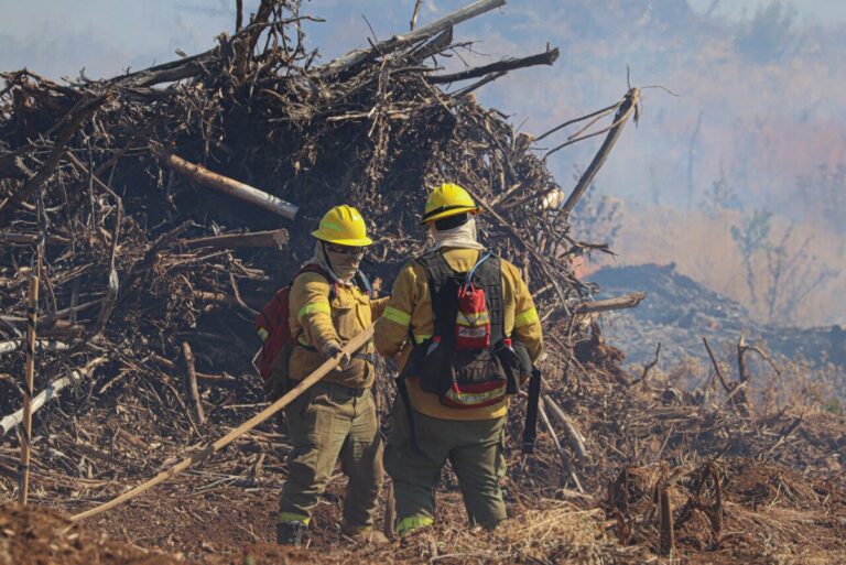Senapred declara alerta roja para la comuna de La Estrella por incendio forestal cercano a sectores poblados