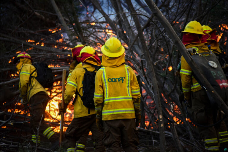 Región de La Araucanía: Muere brigadista de Conaf tras sufrir accidente durante labores de combate de incendios en Victoria