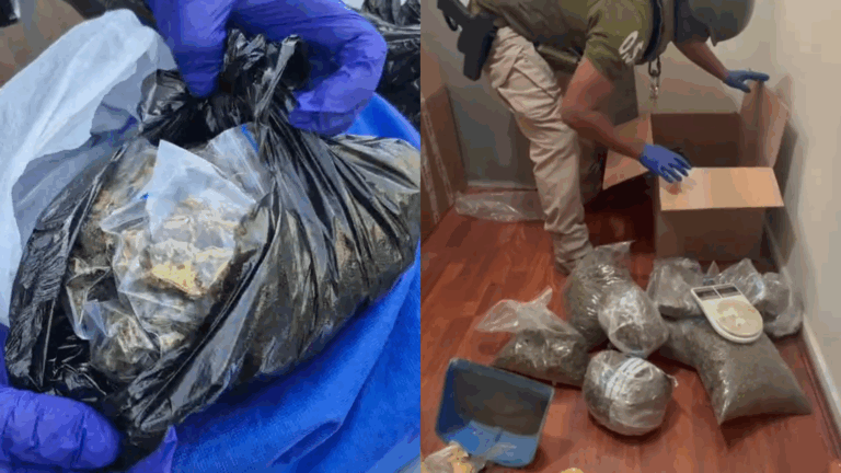 Operativo policial en Barrio Franklin terminó con nueve detenidos e incautación de armas, droga y autos