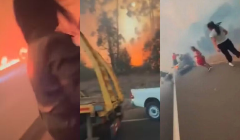 Habla hombre que rescató a madre e hija que quedaron atrapadas en voraz incendio en La Araucanía: “Actué por instinto”
