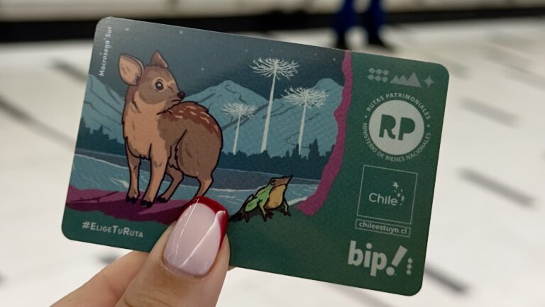 Metro lanzó nuevos diseños: ¿En qué estaciones se puede encontrar la tarjeta Bip! del pudú?