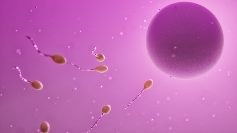 La calidad del esperma podría predecir la esperanza de vida en los hombres, según estudio