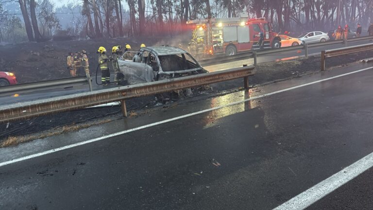 Caos en la Ruta 5 Sur: Incendio forestal fuera de control consume al menos dos vehículos y provoca suspensión de tránsito