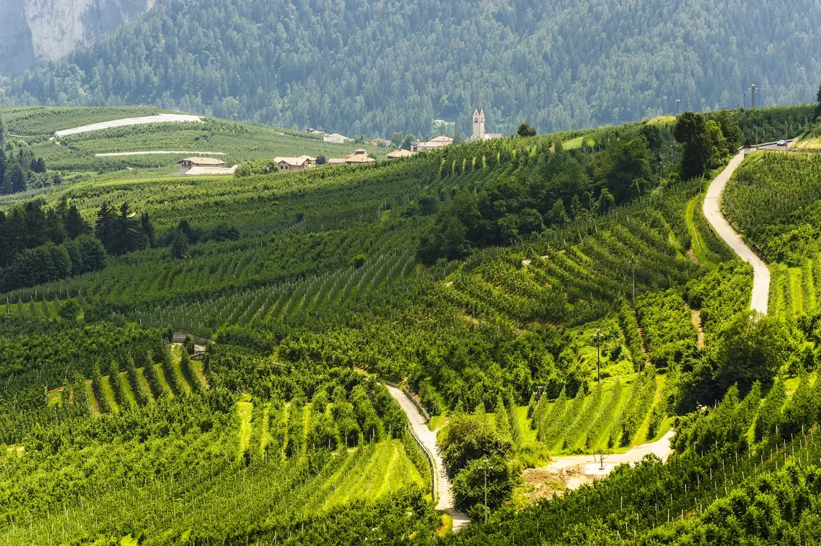 Se espera que los pueblos de la pintoresca zona de Val di Non formen parte del nuevo programa de viviendas. clodio/iStockphoto/Getty Images