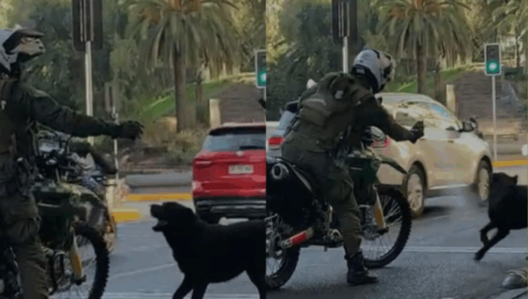 Captan a carabinero en moto rociando spray a perro que le ladraba en un semáforo de Santiago: Policía abrió indagatoria
