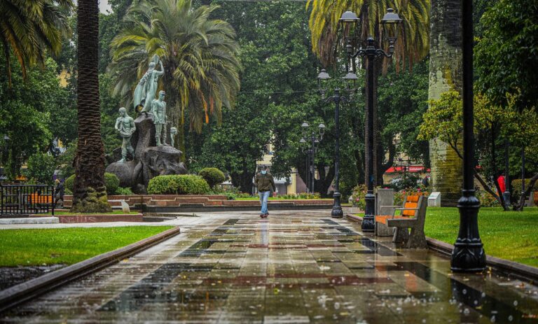 Alerta Temprana Preventiva para Los Lagos y La Araucanía por precipitaciones y vientos