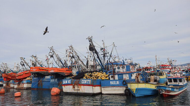 Este miércoles terminan labores de búsqueda de los 7 pescadores desaparecidos en el Biobío