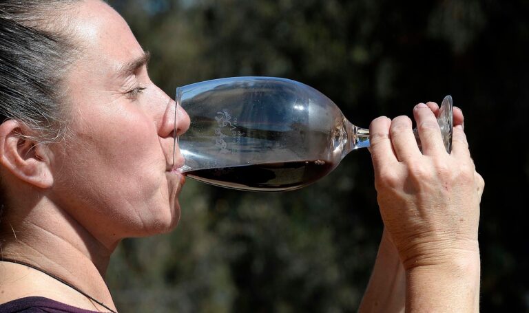Isla de Maipo se prepara para la Fiesta de la Vendimia 2025