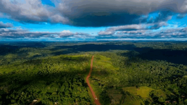 Día de la Tierra: Qué es, cómo nació y por qué se conmemora cada 22 de abril