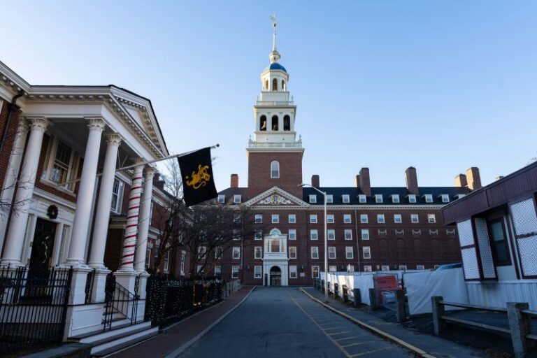 ¿Cuántos estudiantes latinos estudian en la Universidad de Harvard?