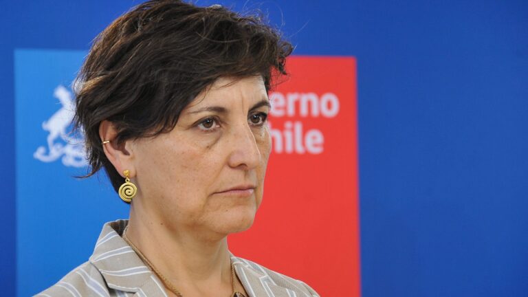 Nueva variante de influenza H3N2 en la región: Salud prepara vacuna y medidas preventivas en Chile