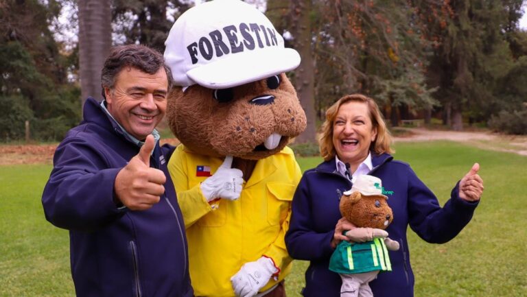 Conaf se convierte en un servicio público: Así operará el nuevo Servicio Nacional Forestal