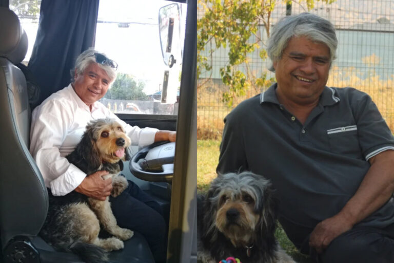 Final feliz para chofer que acusó ser despedido por viajar con su perro de apoyo emocional: Can será acreditado