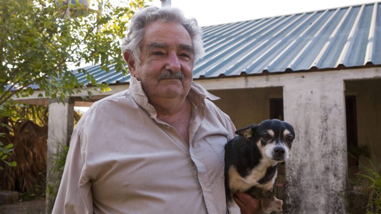 El amor de cuatro patas de 