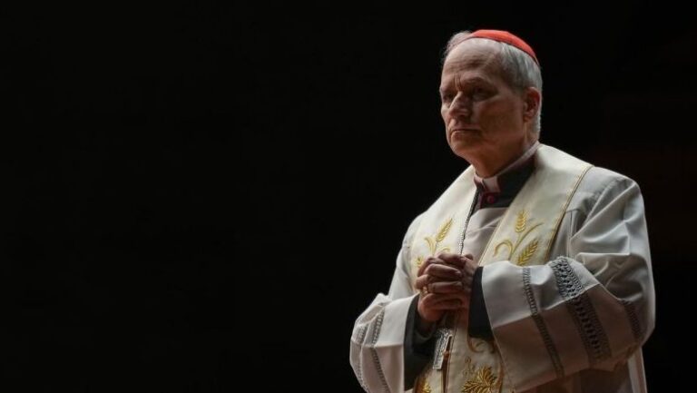 La reflexión del nuevo papa León XIV sobre los abusos clericales: 