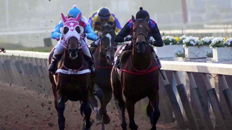 Rodada en el Hipódromo Chile deja un caballo muerto y cuatro jinetes lesionados