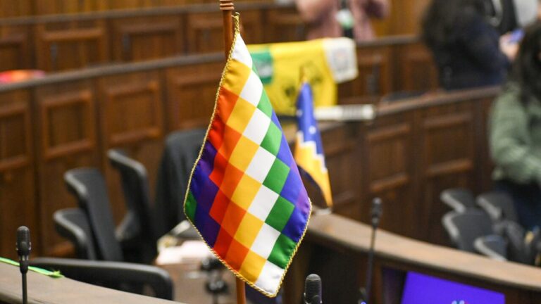 Avanza en el Senado el proyecto que reconoce y promueve los derechos lingüísticos de los pueblos indígenas