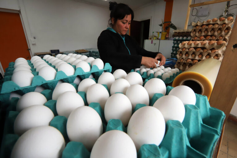 IPC de abril sube dentro de lo esperado: Aumentó precio de huevos y galletas, bajó el vino