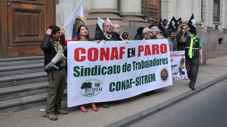 Fedetur pide poner fin al paro de Conaf y apela a impactos en el turismo