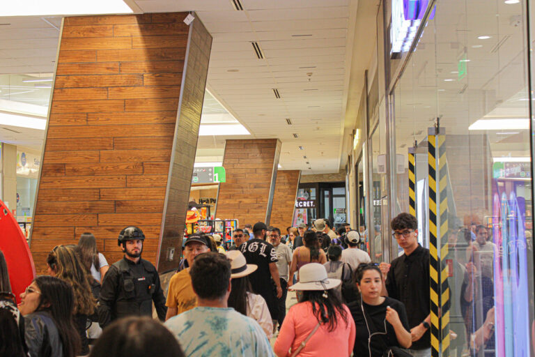 Feriado legal y voto voluntario: Gobierno asegura que únicamente malls y strip centers cerrarán este domingo por primarias