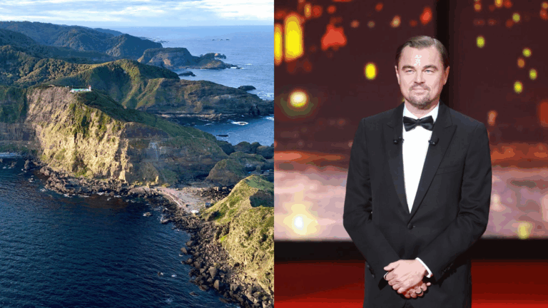 Revelan que ONG conservacionista vinculada al actor Leonardo DiCaprio estaría negociando la compra de Isla Guafo en Chiloé