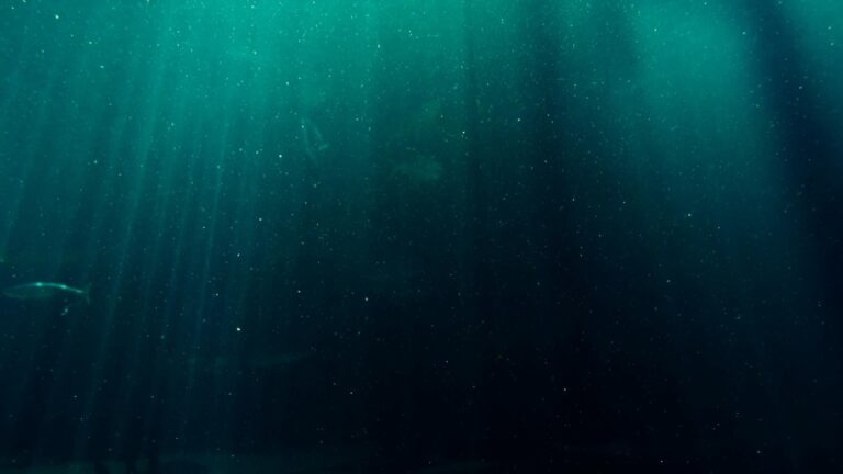 Científicos aseguran que hay una “cápsula espacial” perdida bajo el mar