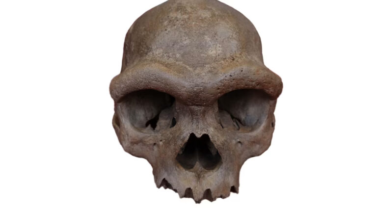 Científicos logran revelar el rostro del 