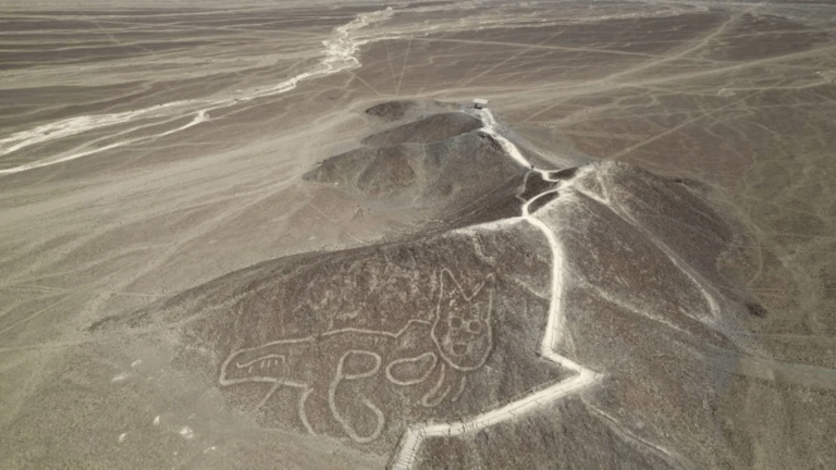 Preocupación en Perú por plan para reducir parque de las Líneas de Nazca: Apuntan a riesgos ambientales y patrimoniales
