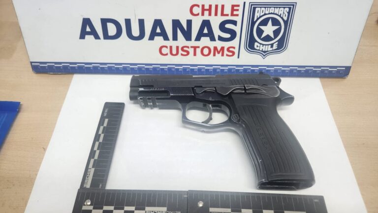 Conductor fue sorprendido con una pistola y municiones mientras intentaba ingresar a Chile por paso Los Libertadores