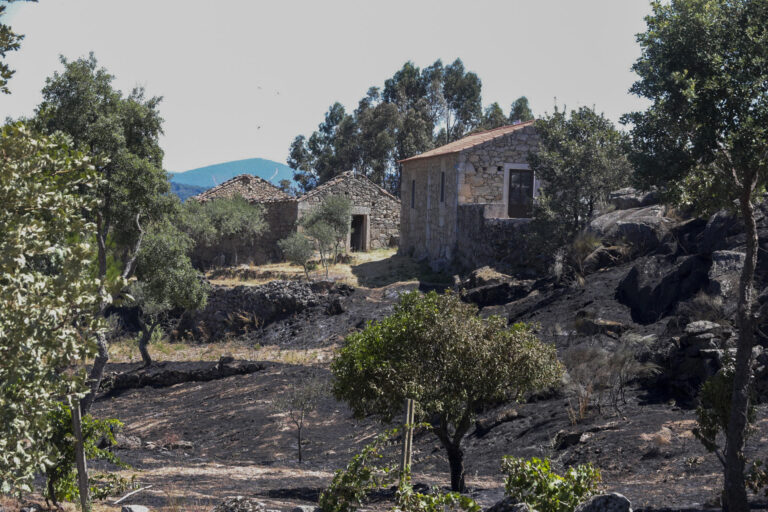 Con 3.753 bomberos, 1.200 medios terrestres y 37 aéreos: Portugal combate 17 incendios forestales 