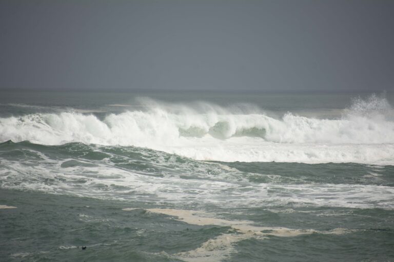 Alerta por tsunami: Registran perturbación de 2,4 metros en costa de Boyeruca, Región del Maule