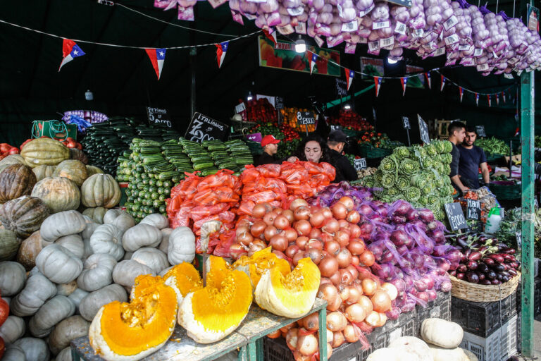 Columna de Magdalena Morel: Empresas, migración y derechos humanos en el agro chileno